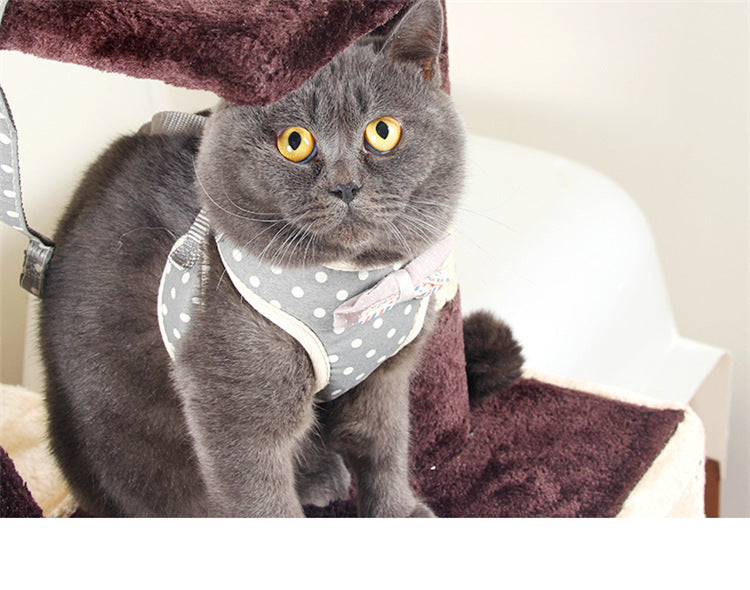 Anti-strike Tie Cat Rope Vest Type Kitten Chain