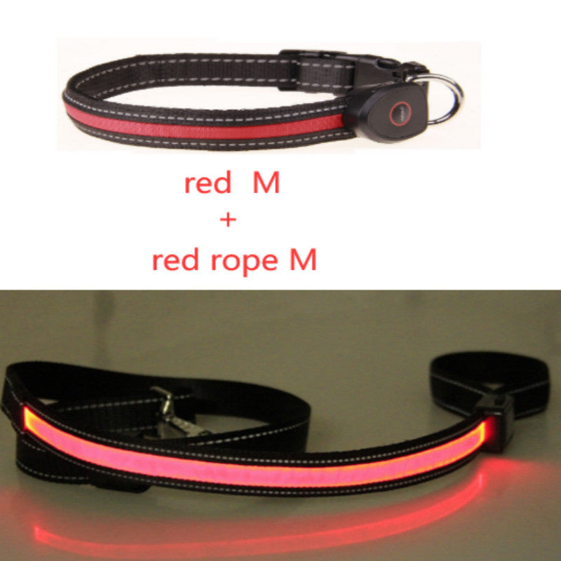 Dog luminous collar