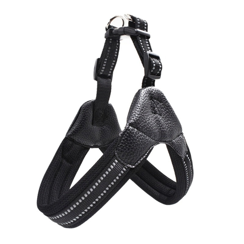 Reflective leash for dog