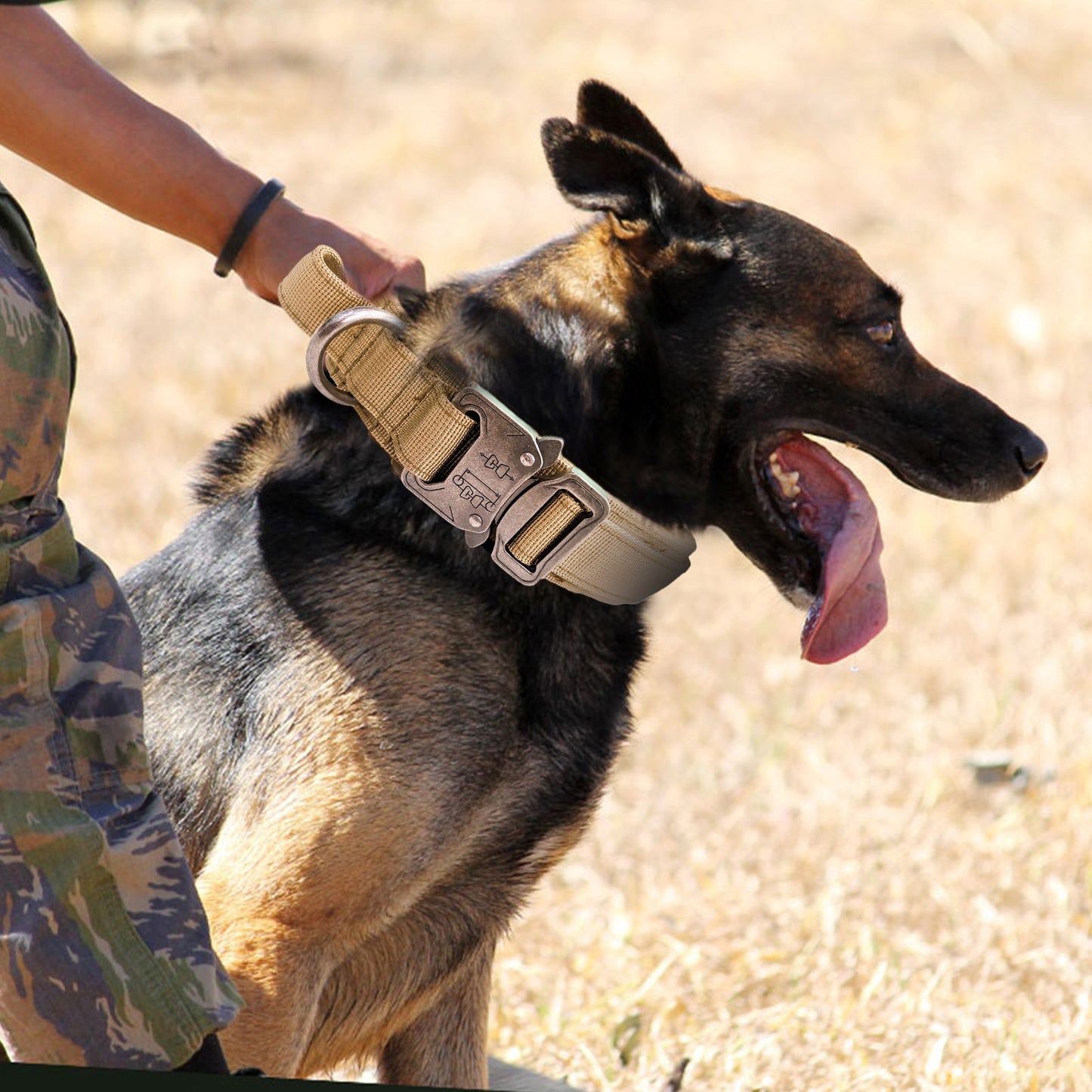 Nylon Wear-resistant Tactical Pet Collar Outdoor Adjustable Medium And Large Traction Dog Collar