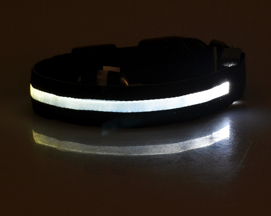 Adjustable LED Dog Collar - Nylon, Glow-in-Dark, USB/Battery Options