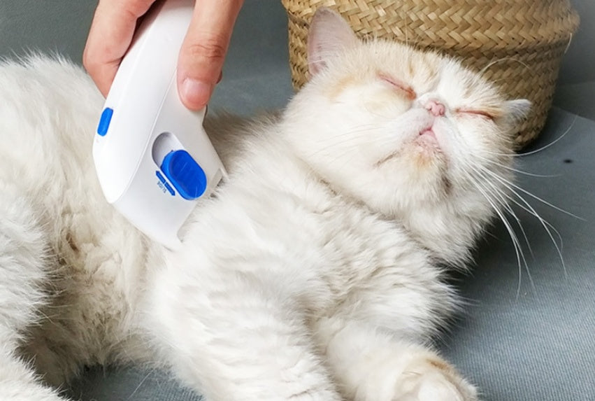 Cat Comb For Electric Lice Remover
