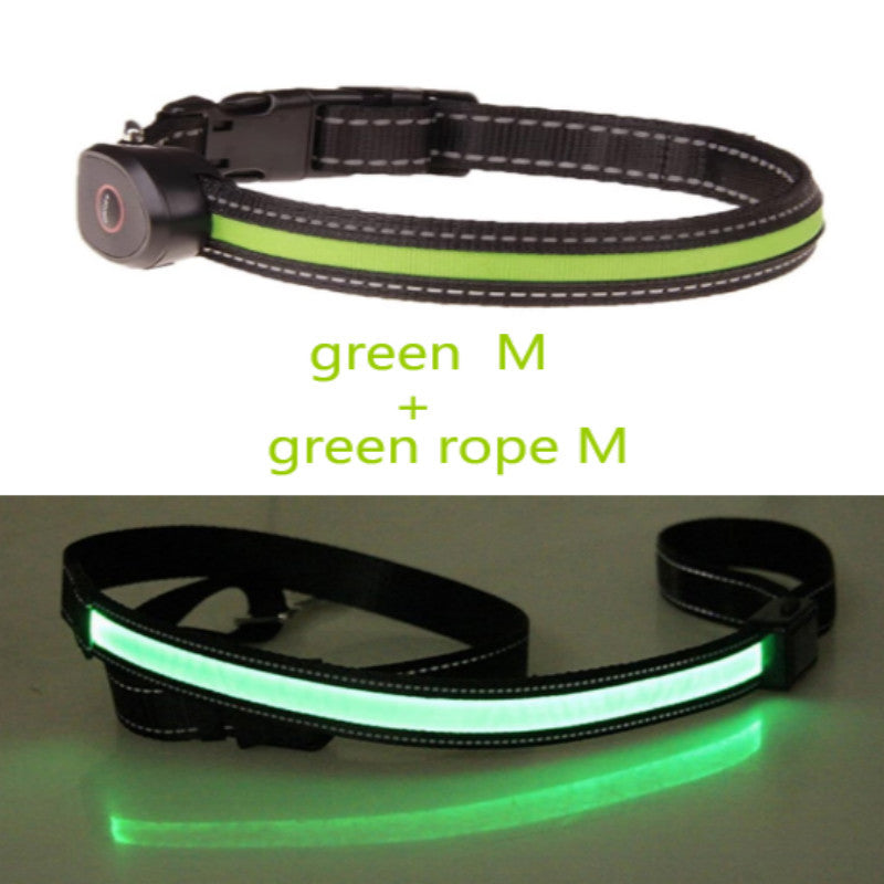 Dog luminous collar