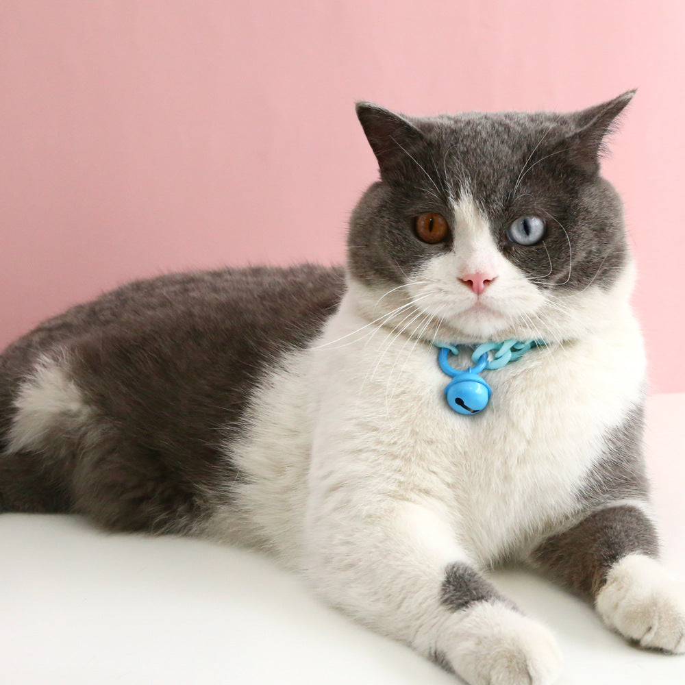 Stylish Pet Collar for Cats, Dogs, Rabbits