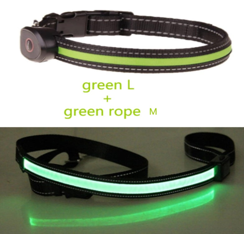 Dog luminous collar