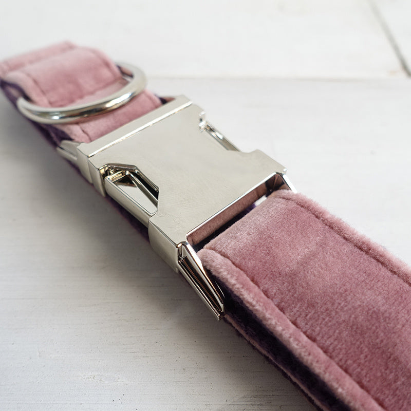 Pink dog collar
