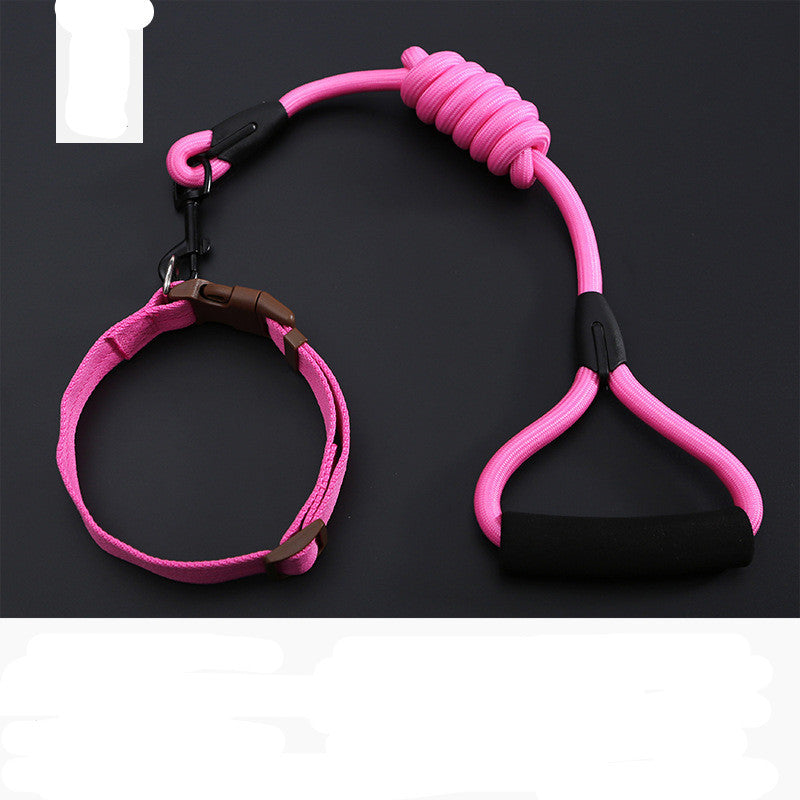 Dog Leash Golden Retriever Teddy Chest Strap Collar