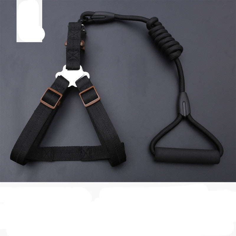 Dog Leash Golden Retriever Teddy Chest Strap Collar