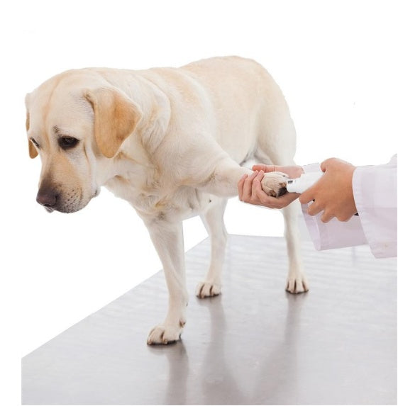 Electric Pet Nail Grinder with Rechargeable Lithium Battery Painless Grooming Trimmer Clipper for Dog Cat Rabbit and other Household Pets of All Sizes