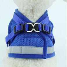Reflective Dog Harness & Leash Set
