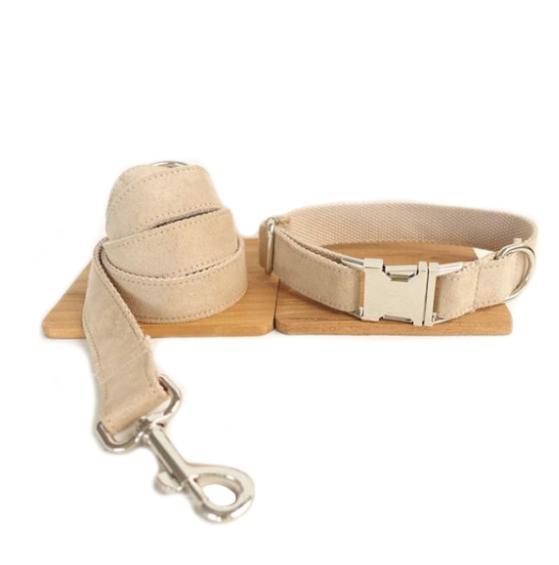 Creative design dog collar