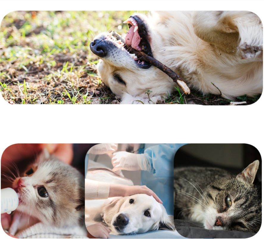 Pet Deodorant Cleaning Wipes