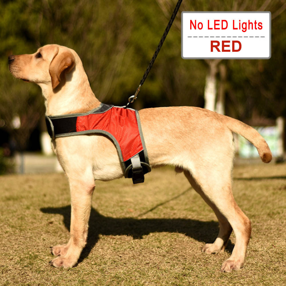 Pet Solid Color K-Shaped Luminous LED Strap