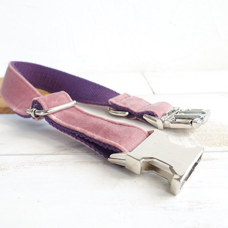 Pink dog collar