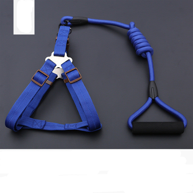 Dog Leash Golden Retriever Teddy Chest Strap Collar