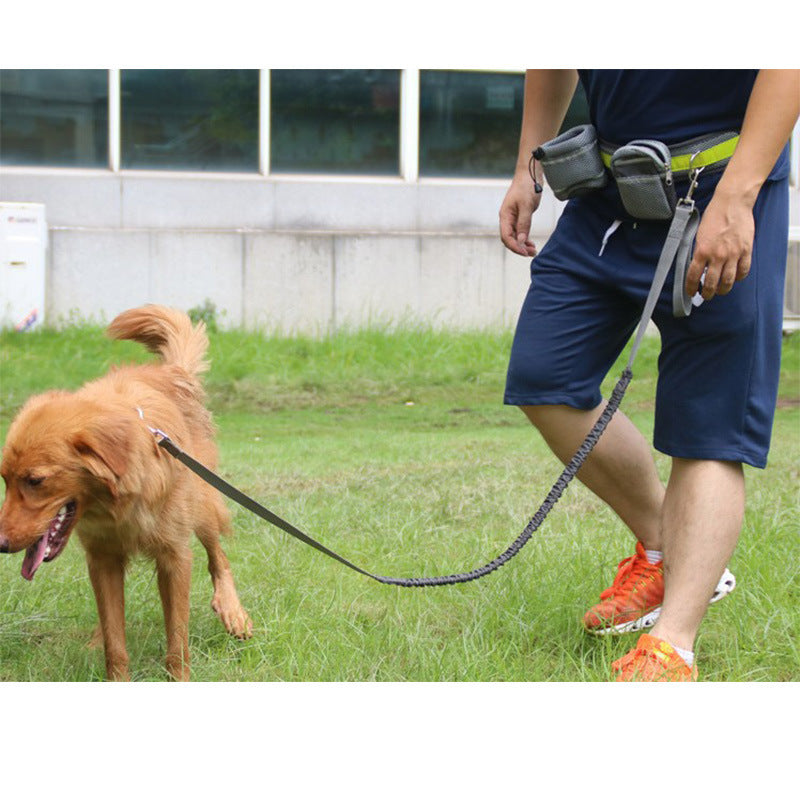 Adjustable Dog Running Leash Set