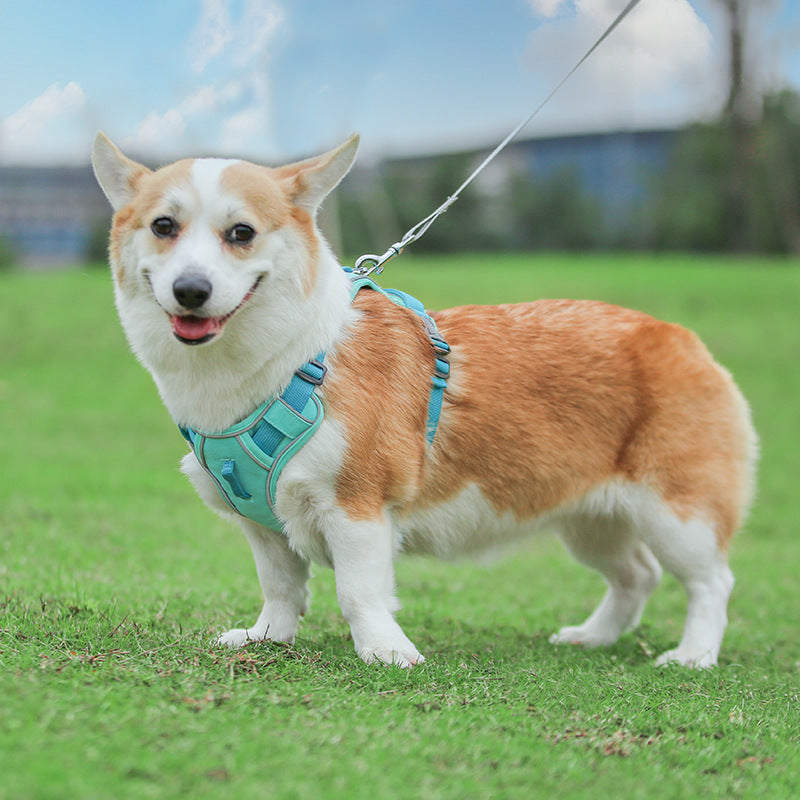 Large Anti Slip Pet Chest Harness In Traction Rope