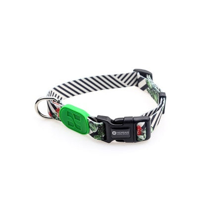 Colorful series of dog collar