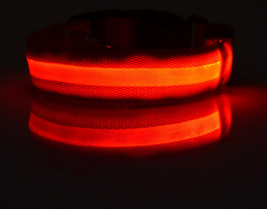 Adjustable LED Dog Collar - Nylon, Glow-in-Dark, USB/Battery Options