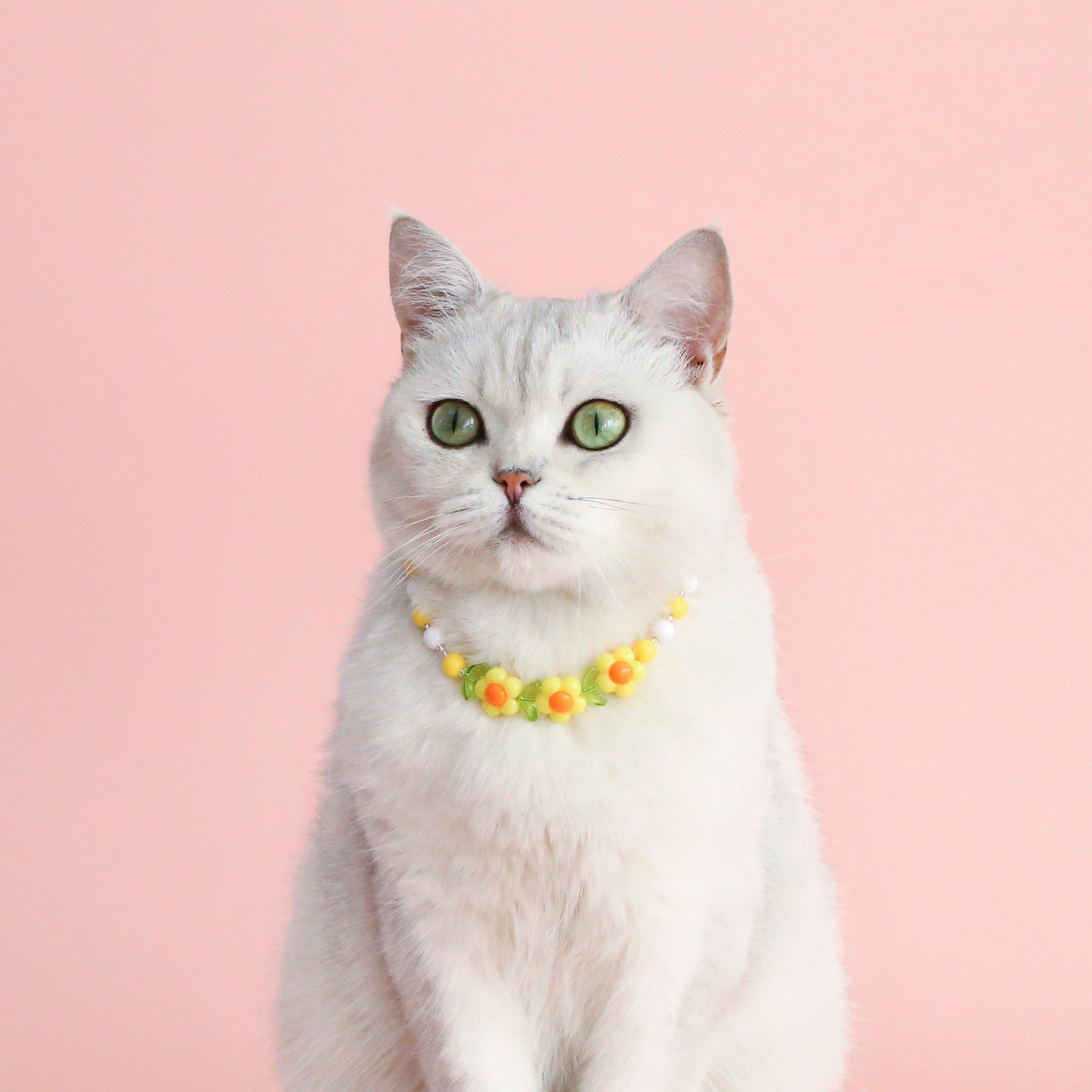 INS South Korea Colorful Pearl Pet Necklace Small Flower Rainbow Peach