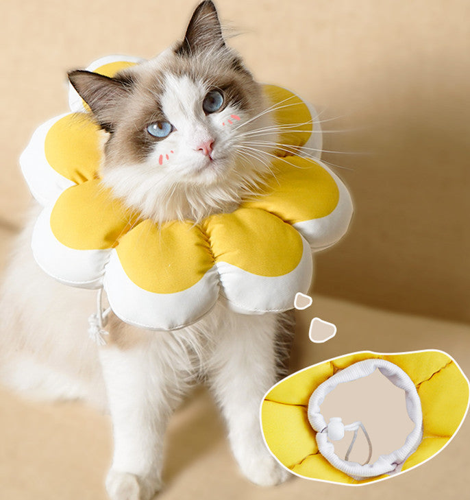 Anti-bite Anti-licking, Waterproof Cat Soft Collar