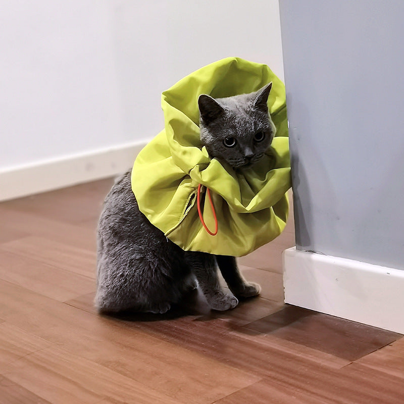 Adjustable Soft Cat Recovery Collar for Pets