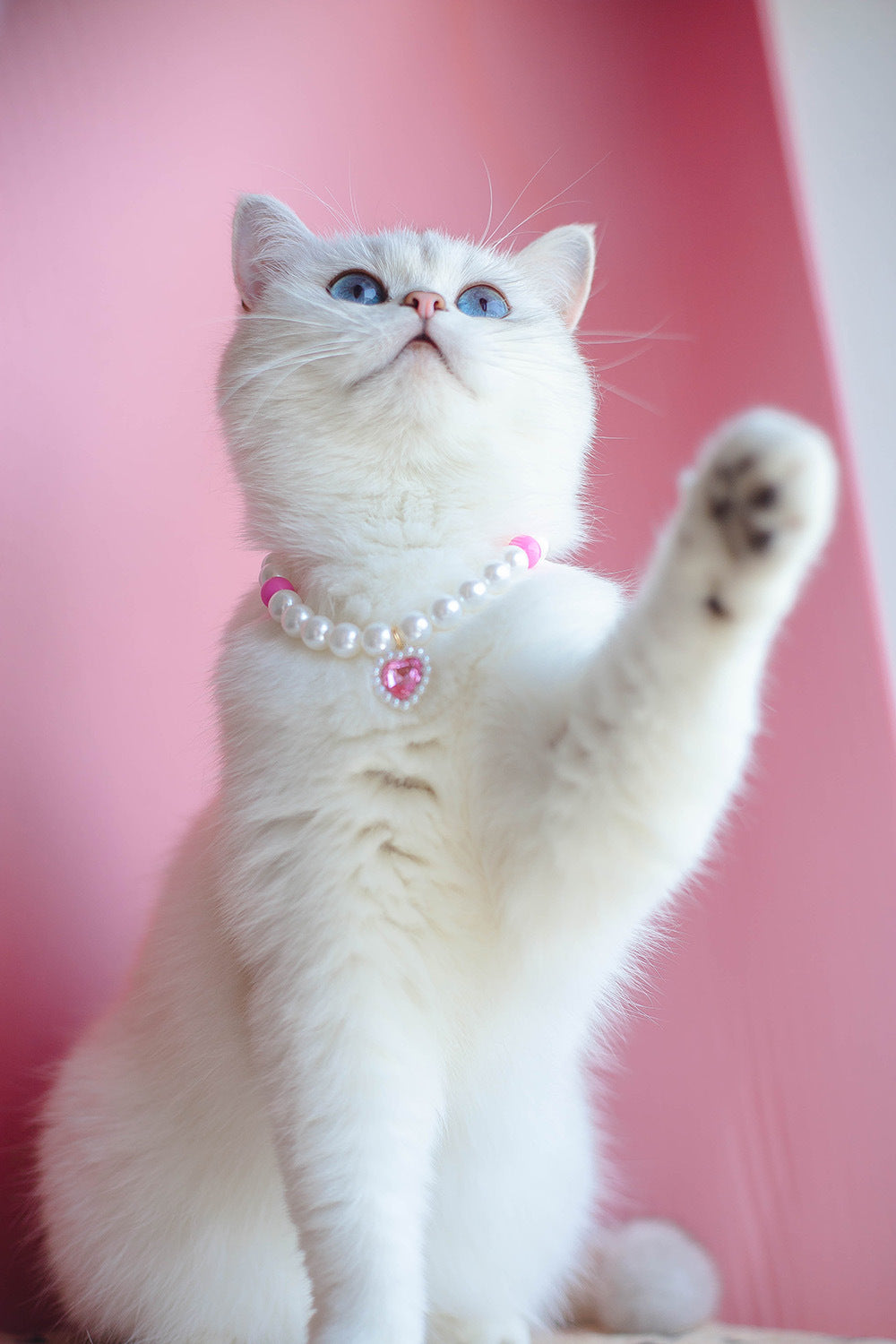 Pet Cat Beads Love Necklace