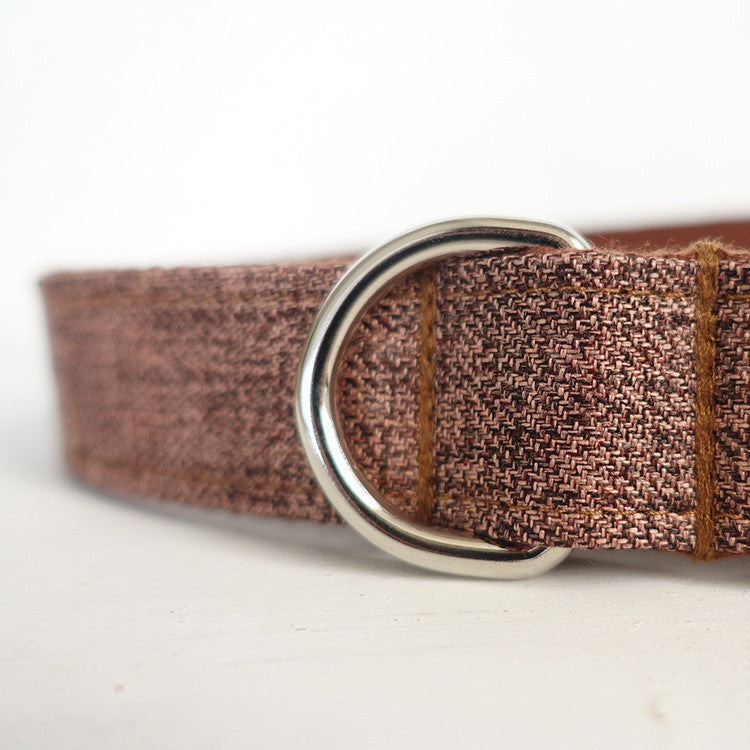 Dog traction collar