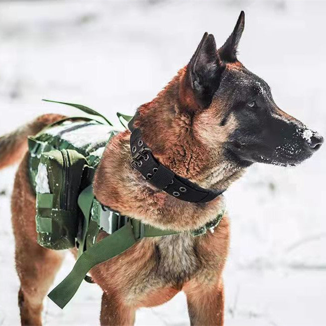 Ondaum Medium Large Dog Collar - Outdoor Tactical Nylon Collar for Durability and Style