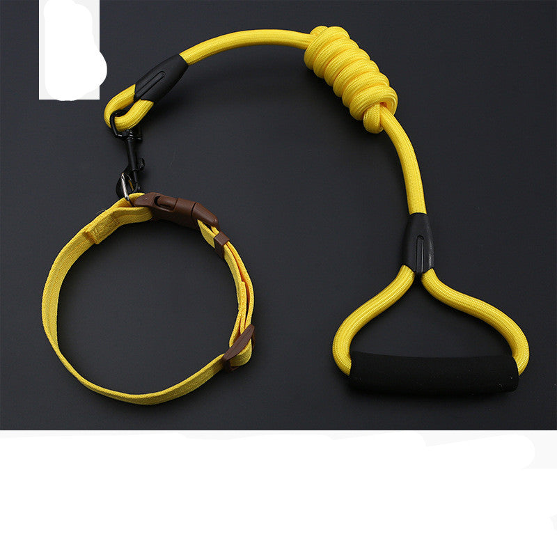 Dog Leash Golden Retriever Teddy Chest Strap Collar