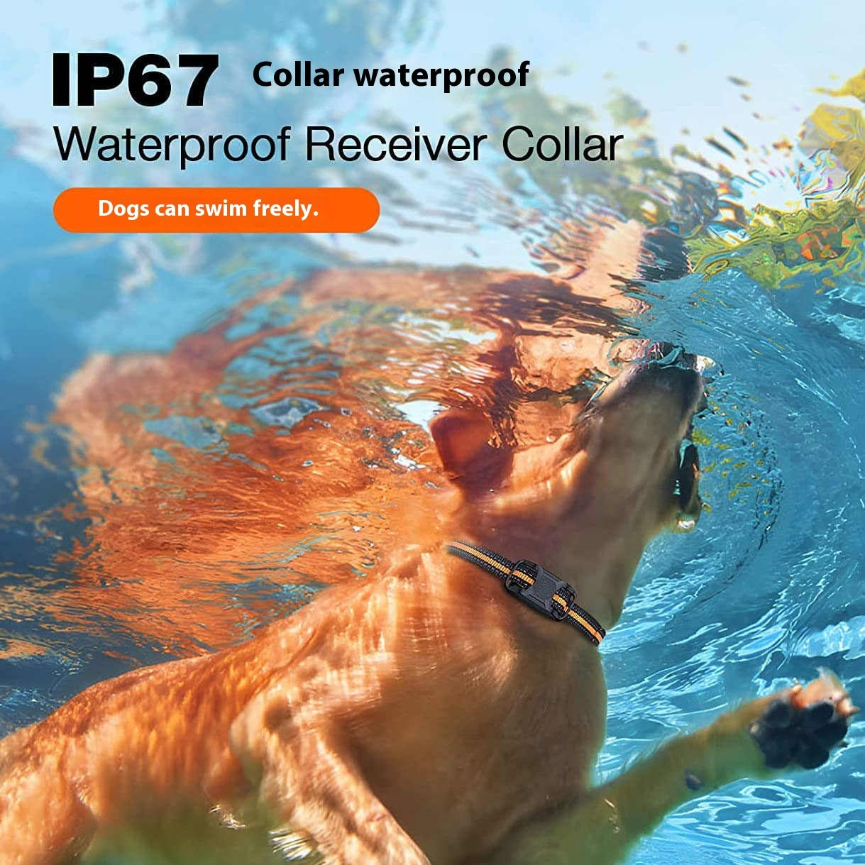 Waterproof Dog Bark Stopper with Remote Control