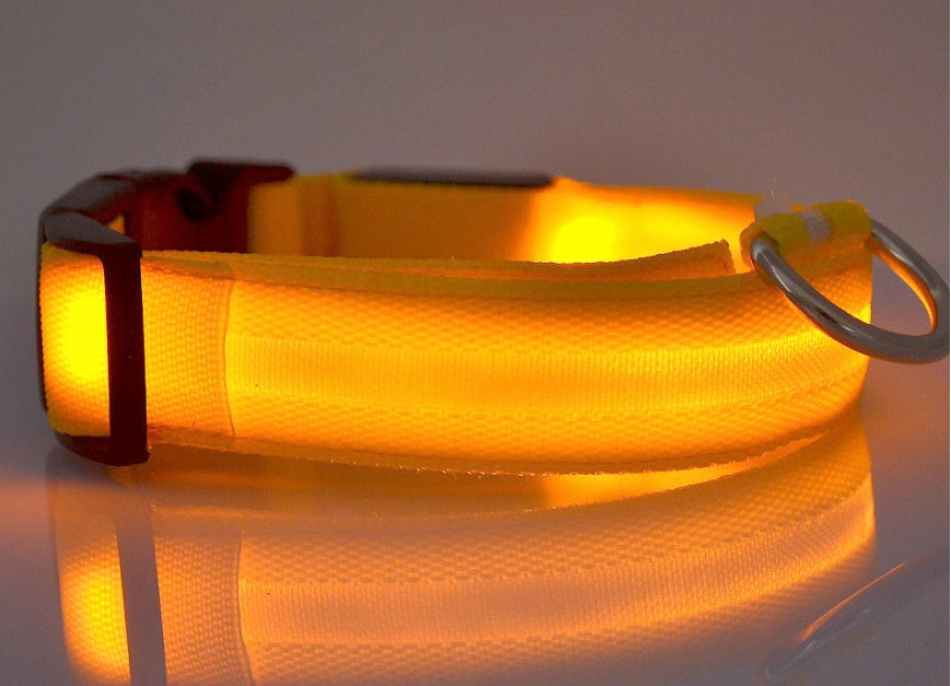 Adjustable LED Dog Collar - Nylon, Glow-in-Dark, USB/Battery Options