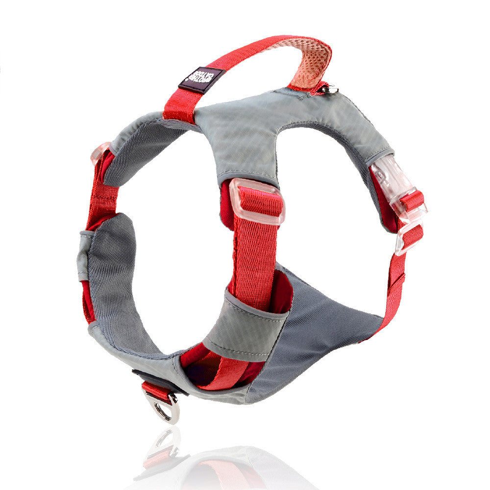 Explosion Proof Big Dog Chest Strap Cat Leash Storage Bag