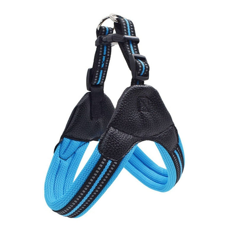 Reflective leash for dog