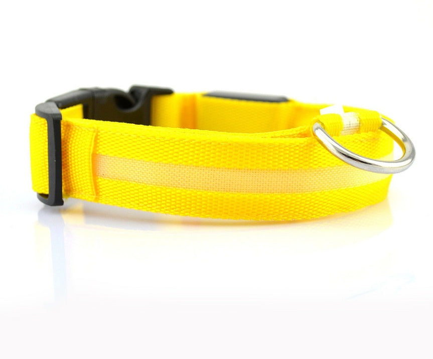 Adjustable LED Dog Collar - Nylon, Glow-in-Dark, USB/Battery Options