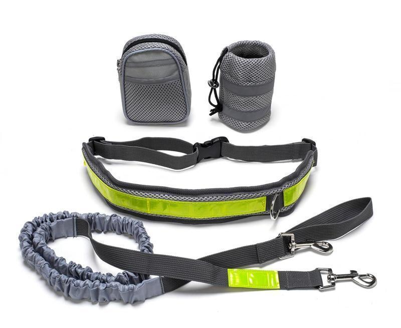Adjustable Dog Running Leash Set