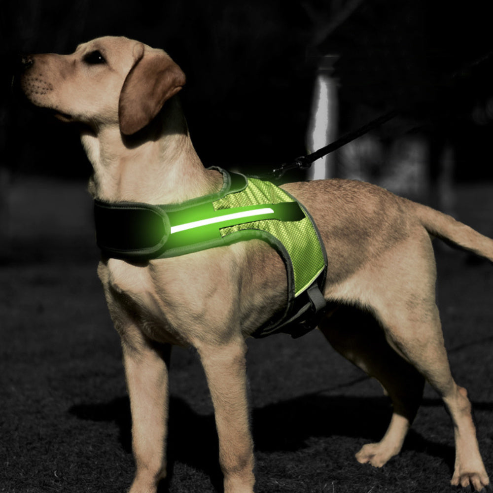 Pet Solid Color K-Shaped Luminous LED Strap