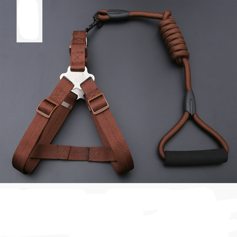 Dog Leash Golden Retriever Teddy Chest Strap Collar