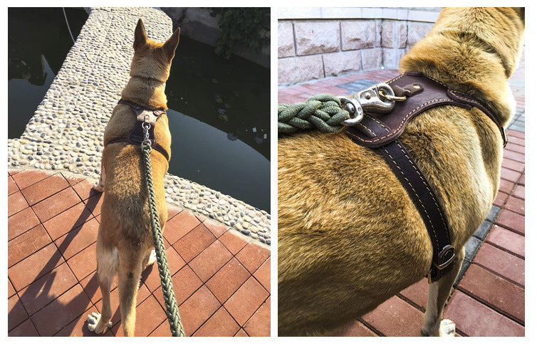 Ondaum Double Layer Thickened Cowhide Chest and Back Harness for Medium to Large Dogs - Adjustable Traction Belt for Comfort and Durability