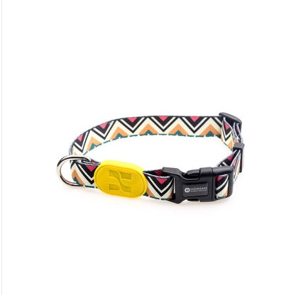 Colorful series of dog collar