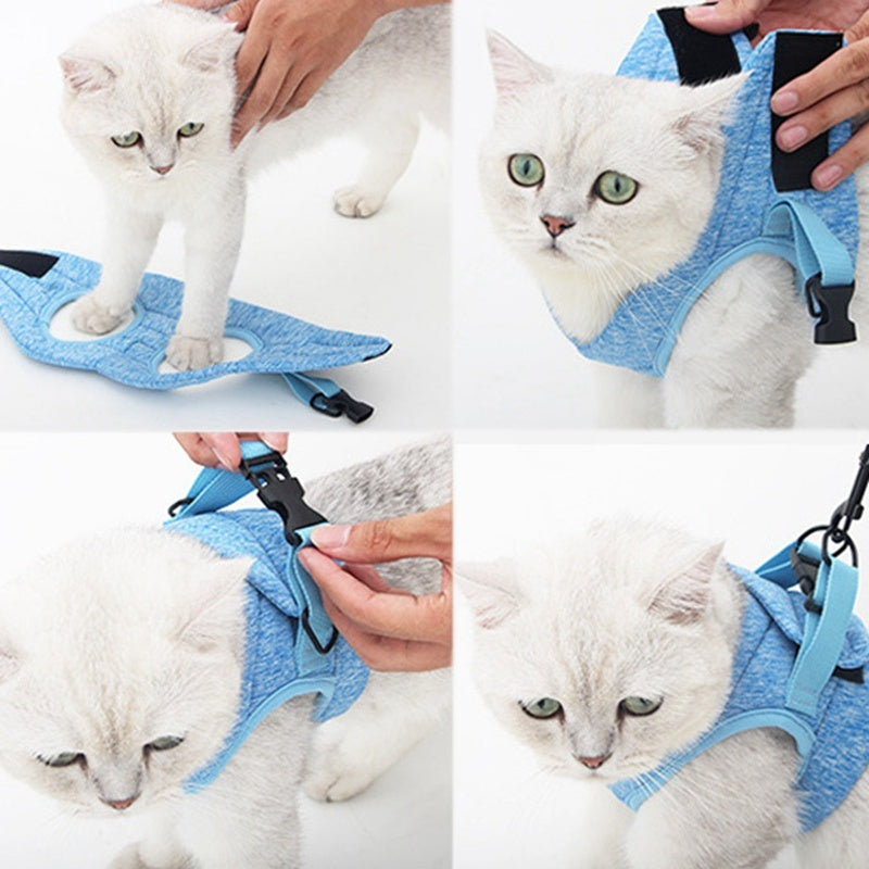 Walking the cat out of the traction rope