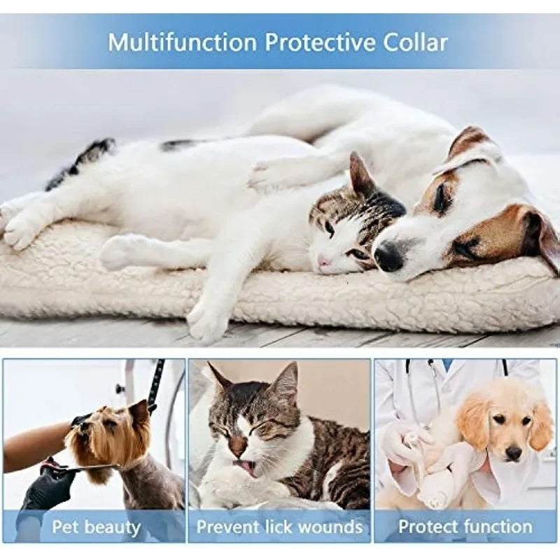 Inflatable Recovery Collar – Soft Protective Cone for Dogs and Cats (All Sizes)