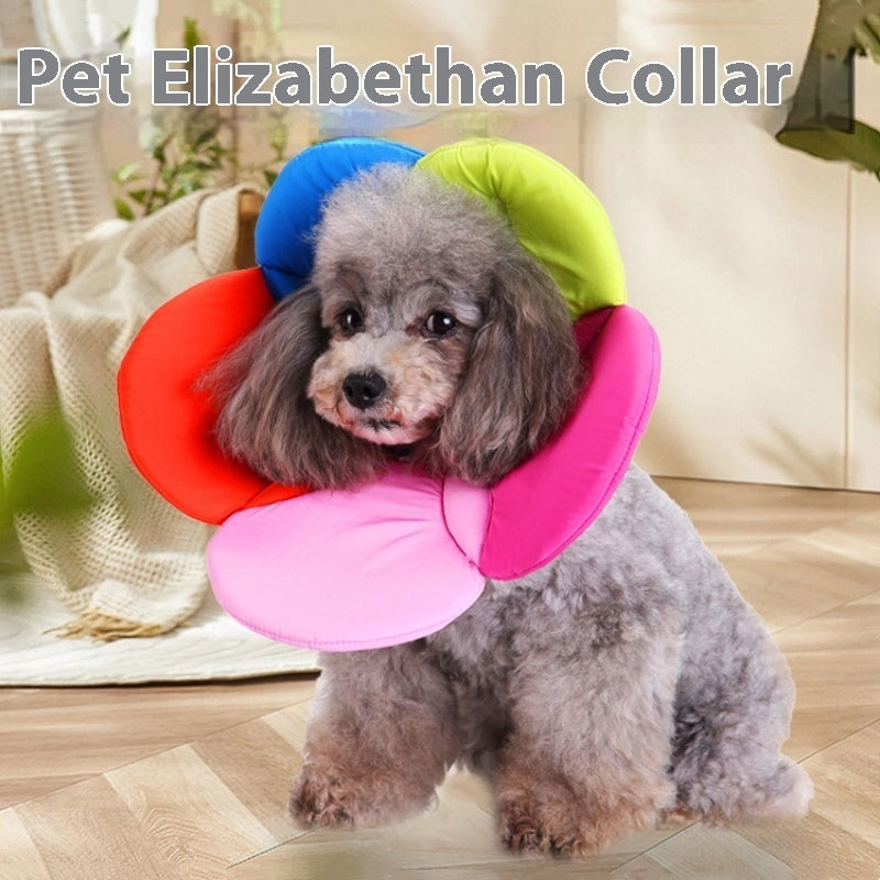 Stylish Dog Collar with Floral Patterns