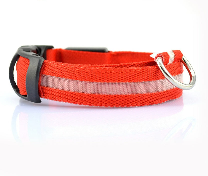 Adjustable LED Dog Collar - Nylon, Glow-in-Dark, USB/Battery Options