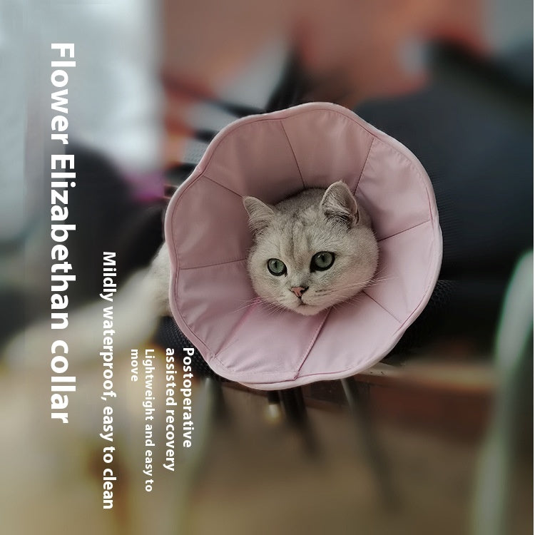 Pet Recovery Collar for Postoperative Care