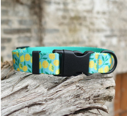 Nylon Ribbon Flower Pet Collar for All Seasons