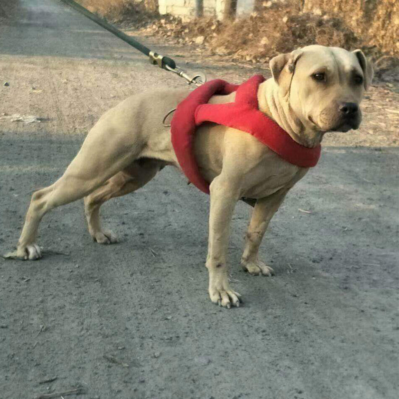 Explosive Force Training Elastic String Chest Strap Buffer Rope Set A Bulldog Supplies And Equipment