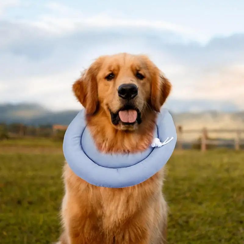 Adjustable Elizabethan Collar for Pets Recovery