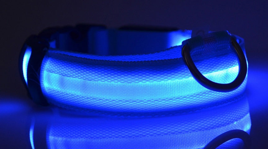 Adjustable LED Dog Collar - Nylon, Glow-in-Dark, USB/Battery Options