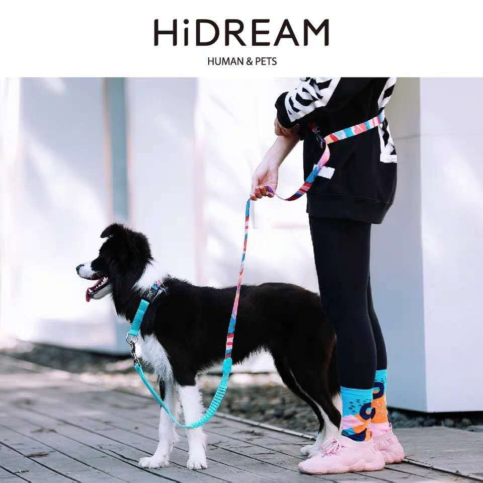 Explosion-Proof Nylon Pet Collar for Safety